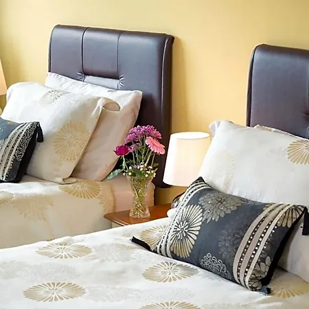 Meadow View B&B
